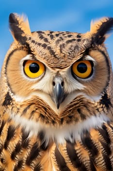 A captivating close-up shot of an owl featuring its yellow eyes, showcasing the mesmerizing details of the creature.