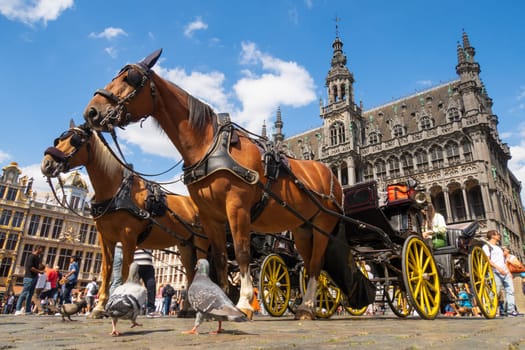 Brussels, Belgium - August 20 2022: Carriage, horses, pigeons and tourists on the Grand-Place of Brussels. Photography taken in Belgium