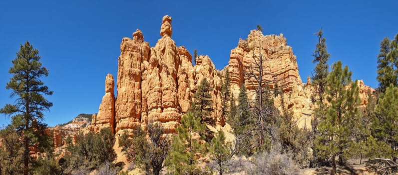 The Bryce Canyon National Park, Utah, United States