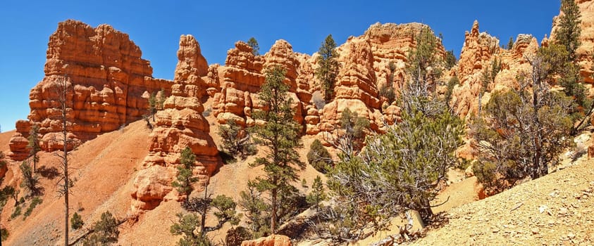 The Bryce Canyon National Park, Utah, United States