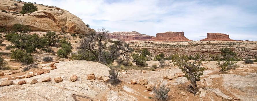 Dead Horse Point, Colorado river, Utah USA