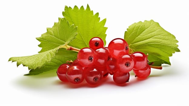 Red Currant with green leaves isolated on white background. artificial art