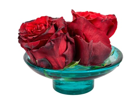 Isolated withered red rose blossoms in a glass bowl