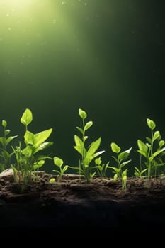Plant growing straight banner. Nature farm. Generate Ai