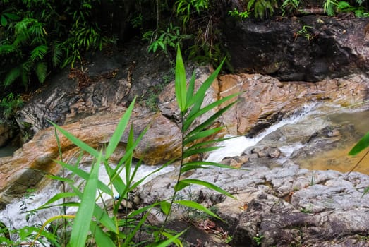 Mountain river with a waterfall. Flowing mountain river natural landscape.