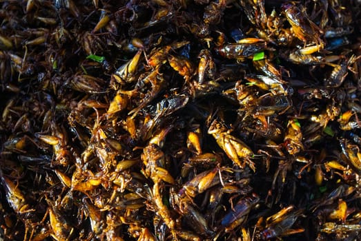 Dried grasshoppers Delicious food in Thailand. Selling dried orthoptera grasshoppers and locusts.