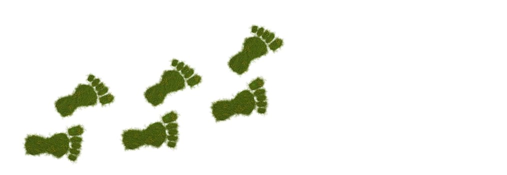3d render of an ecological footprint, grassy footprint on a white background, 3d illustration