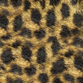 Close-up of an artificial leopard skin.Texture or background