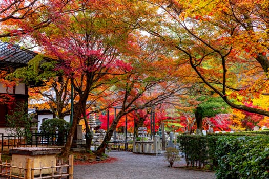 Adashino Nenbutsuji Temple Garden in Kyoto