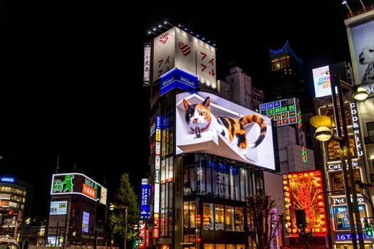 TOKYO/JAPAN - November 19 2023:Holographic cat in the Shinjuku district