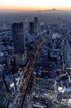 TOKYO/JAPAN - November 22 2023:aerial view of tokyo city at sunset, visible Mount Fuji