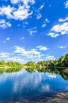 The vegetation of the forest and meadows against the sky. Landscapes of open spaces of nature.