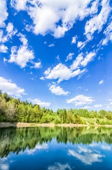 The vegetation of the forest and meadows against the sky. Landscapes of open spaces of nature.