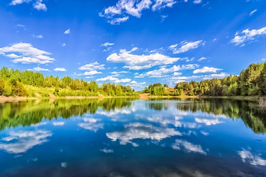The vegetation of the forest and meadows against the sky. Landscapes of open spaces of nature.