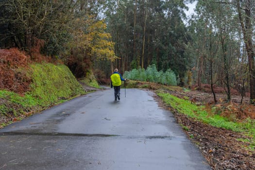 Galicia, Spain, 1 January, 2024: Pilgrim walk along the Camino De Santiago, the Way of St. James pilgrimage route, Galicia, Spain.
