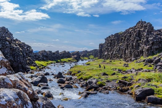 Blaskogabyggo, Iceland - July 27, 2023 Landscape view of the Drowning Pool or Drekkingarhylur, located in Thingvellir National Park, located in southwestern Iceland.