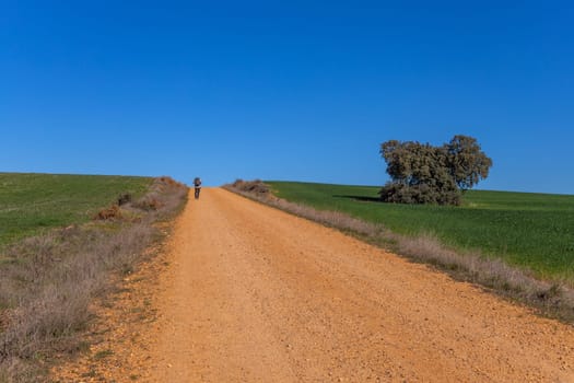 Extremadura, Spain, 04 December, 2022: Pilgrim walk along the Camino De Santiago, the Way of St. James pilgrimage route, Extremadura, Spain.