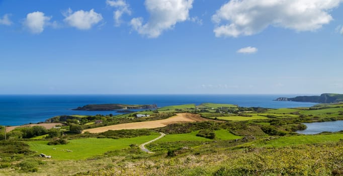 Landscape at the coast near the Lough Hyne in West Cork at sunset, Ireland
