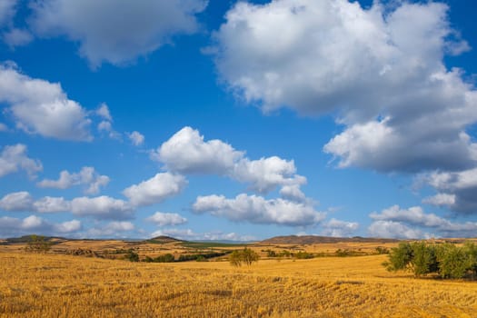 view of a crop field in the north of Spain