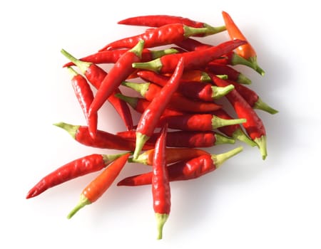Chili,Capsicum is a spicy spice plant. Chili,Capsicum is a hot spice plant.