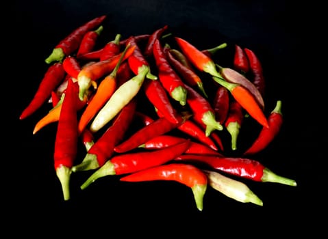 Chili,Capsicum is a spicy spice plant. Chili,Capsicum is a hot spice plant.