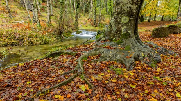 River in Autumn season at Geres National Park, Portugal