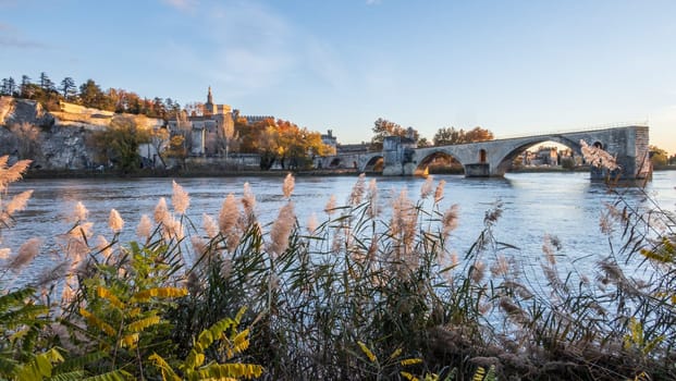 Avignon city and his famous bridge, medieval Papal city on the Rhone River. Photography taken in France in autumn