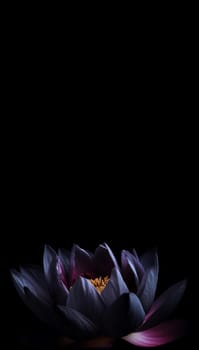 Black lotus flower in dark vertical banner. Natural beauty art flora light. Generate Ai