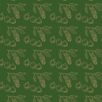 Golden seamless background of Macadamia nuts on branch. Vector illustration on black background. Can used for wrapping paper, beauty cosmetic background.