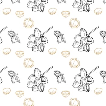 Background of Macadamia black and gold branch and nuts. Vector illustration in Hand drawn style. Can used for wrapping paper, cosmetic and food background.