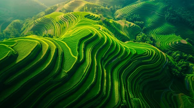 View from above, stunning aerial view of the green rice terrace fields during sunrise. AI generated