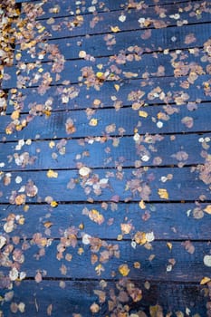 Many autumn leaves on a wet path made of wooden planks after a rain in autumn