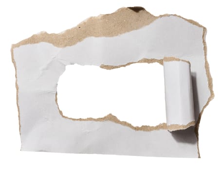 Torn piece of white cardboard with torn edges on an isolated background, copy space