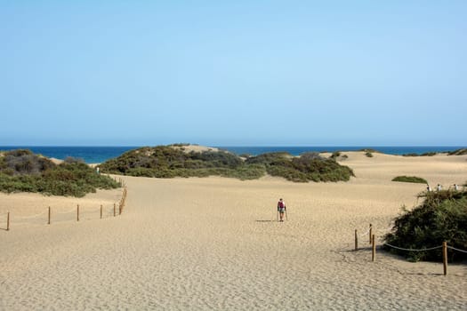 In the dunes of Maspalomas on Gran Canaria in Spain. Path with a pedestrian to the sea, with blue sky. The huge sand dunes resemble a small desert and are a nature reserve