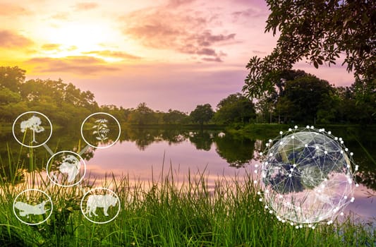Ecosystem and preserve nature and sustainable concept, Botanical, CREDIT BY NASA, Forest travel nature conservation