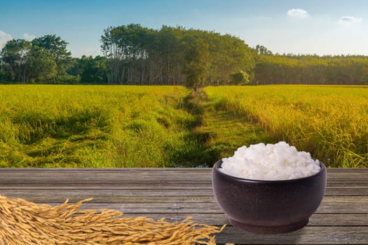 Rice brand for product design, Rice paddy in rice field rural with cloud sky in daylight, Green field rural countryside, Paddy rice with green field