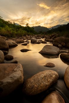 River stone and tree with sun light, View water river tree, Stone river and sun ray in forest