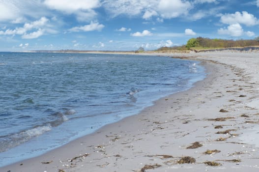 On the beach of Zingst in a bay. White sand in front of the blue Baltic Sea. Small white clouds in the sky and some forest in the background. Landscape shot