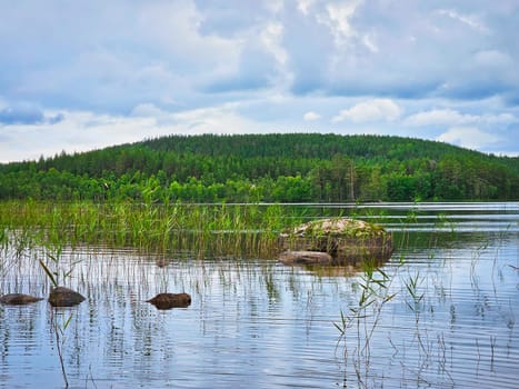 View of a lake in Smaland in Sweden. Blue water with light waves and reeds. Blue sky with veil clouds. Summer in nature in Scandinavia. Landscape photo