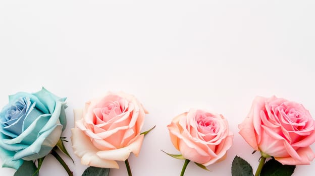 Row of pastel color rose buds at bottom of picture. Copy space. AI generated
