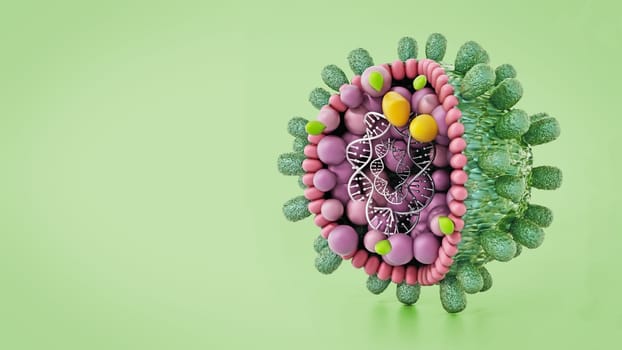 Structural detail of Hepatitis B virus isolated on green background. 3D illustration.