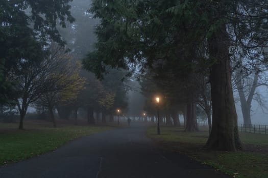 Blurred people in the fog, on road surrounded by trees and illuminated by vintage street lamps, Farmleigh Phoenix Park. Moody evening, Dublin, Ireland