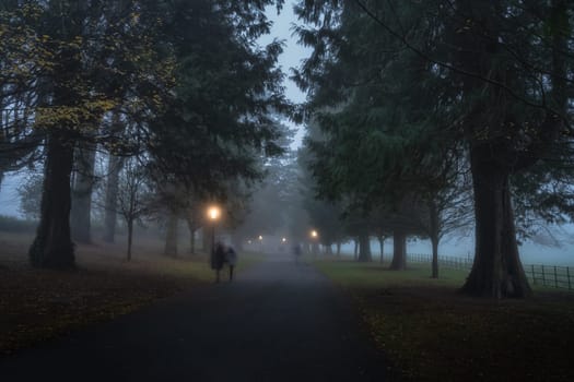 People blurred in motion walking in thick fog, on road surrounded by trees and illuminated by street lamps, Farmleigh Phoenix Park, Dublin, Ireland