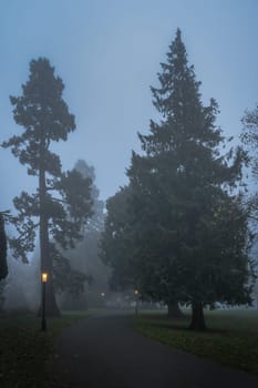 Blurred people in the fog, on road surrounded by trees and illuminated by vintage street lamps, Farmleigh Phoenix Park. Moody evening, Dublin, Ireland
