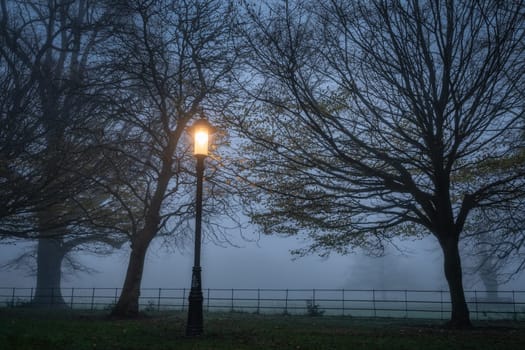 Single vintage street lamp illuminating trees in the thick fog in Farmleigh Phoenix Park, moody atmospheric evening, Dublin, Ireland