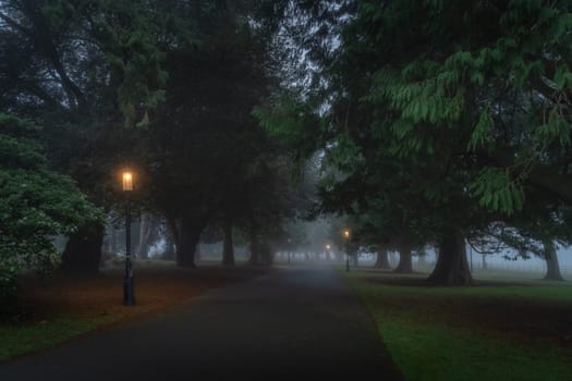 Blurred people in the fog, on road surrounded by trees and illuminated by vintage street lamps, Farmleigh Phoenix Park. Moody evening, Dublin, Ireland