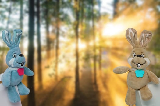 Easter greeting card template. Two cute colorful plush bunnies or rabbits with bow tie on gift boxes over a abstract blurred sunny forest with copy space.