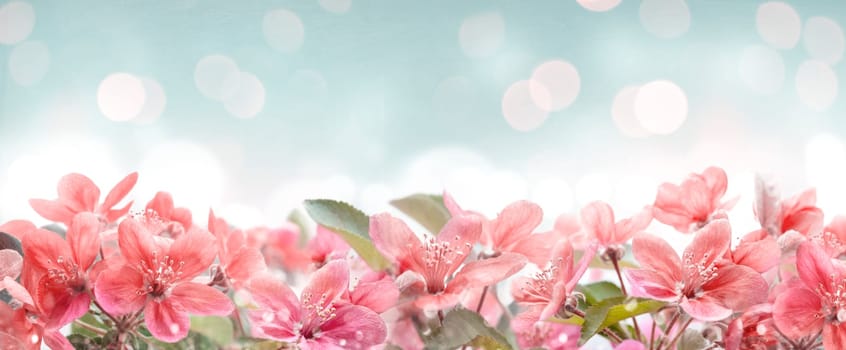 Beautiful pink spring blossom frame on bokeh background. Garden with flower blooming on blue sky. Floral border design. Easter and springtime design with copyspace.