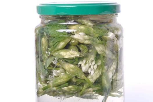 wild garlic flower bud in lacto fermented