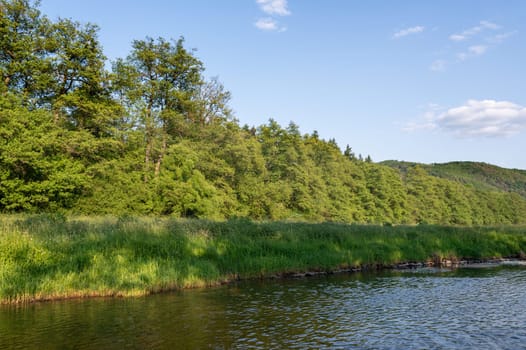 River bank with green grass,trees and blue sky